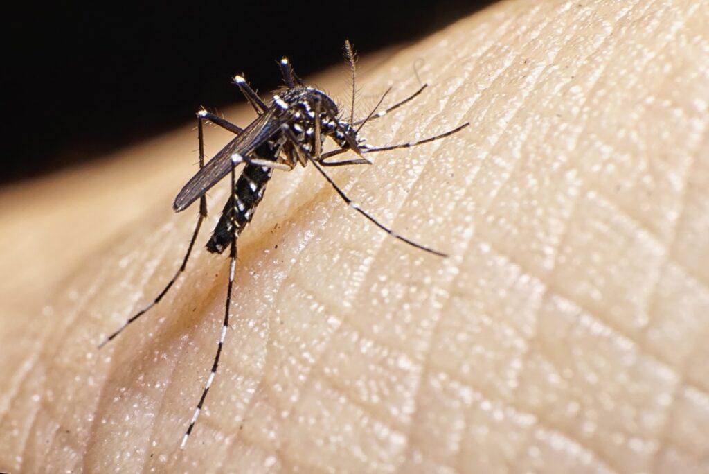 dengue en La Libertad
