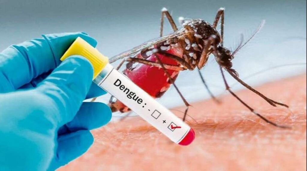 Se muestra en cuanto al mosquito que podría ser una amenaza y transmitir la enfermedad del dengue Aedes aegypti