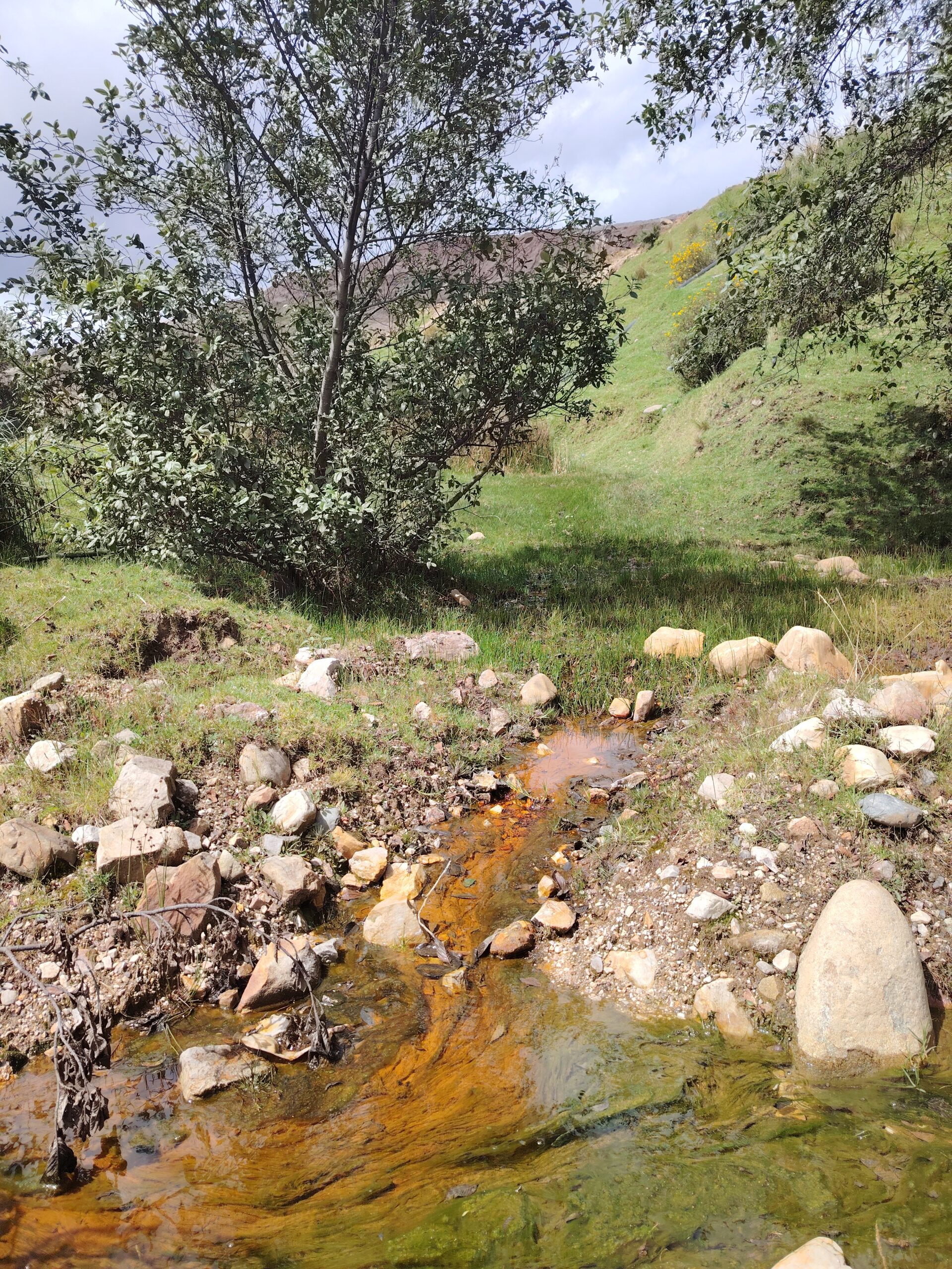 Minera San Simón - líquido naranja cerca de sus pozas Mineras en La Libertad